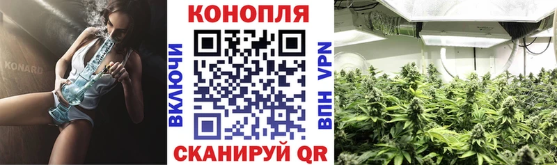 omg ТОР  Лесосибирск  Бошки Шишки AK-47  наркошоп 